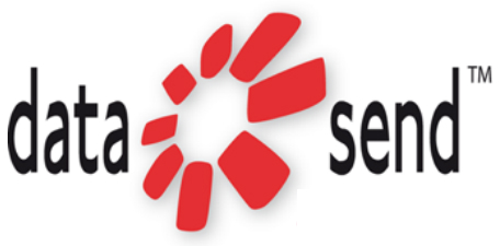 datasend new logotype